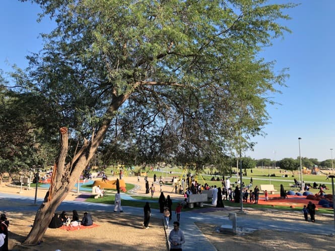 Development of a public park